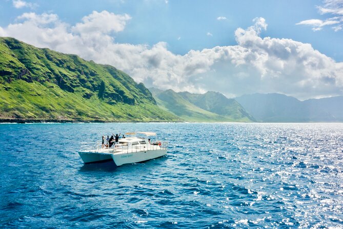 Oahu: Swim with Dolphins on the West Coast - Getting There: Waianae Small Boat Harbor and Early Pickup