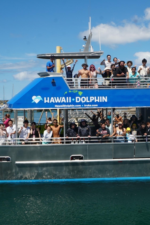 Oahu: Wild Dolphins Swim Turtle Snorkel Tour & Waterslide - Lunch, Drinks, and the Little Comforts That Actually Matter