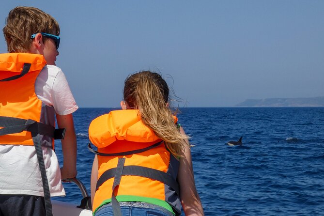 Observation of Dolphins and Whales with Marine Biologist in Arrábida - Price and value: is $66.54 worth it?