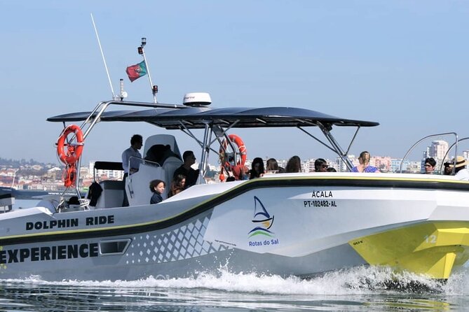Observation of Dolphins in Setúbal - Key things to know before you go