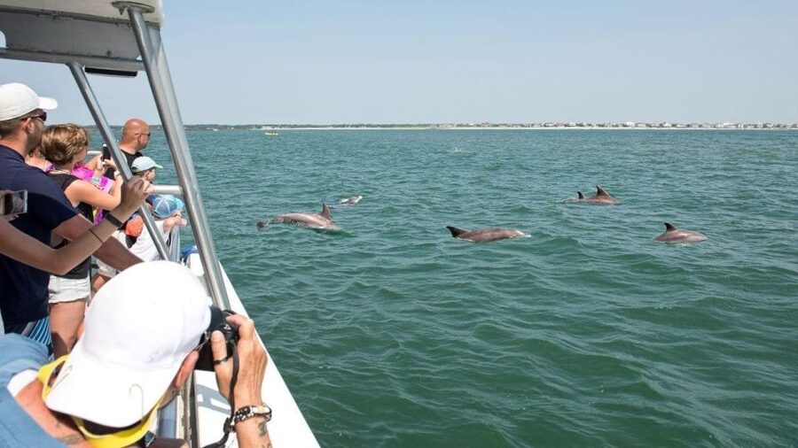 Ocean City, MD: Coastal Speedboat Tour with Dolphin Spotting - Sea Rocket Speedboat and the 45-Minute Dolphin Hunt