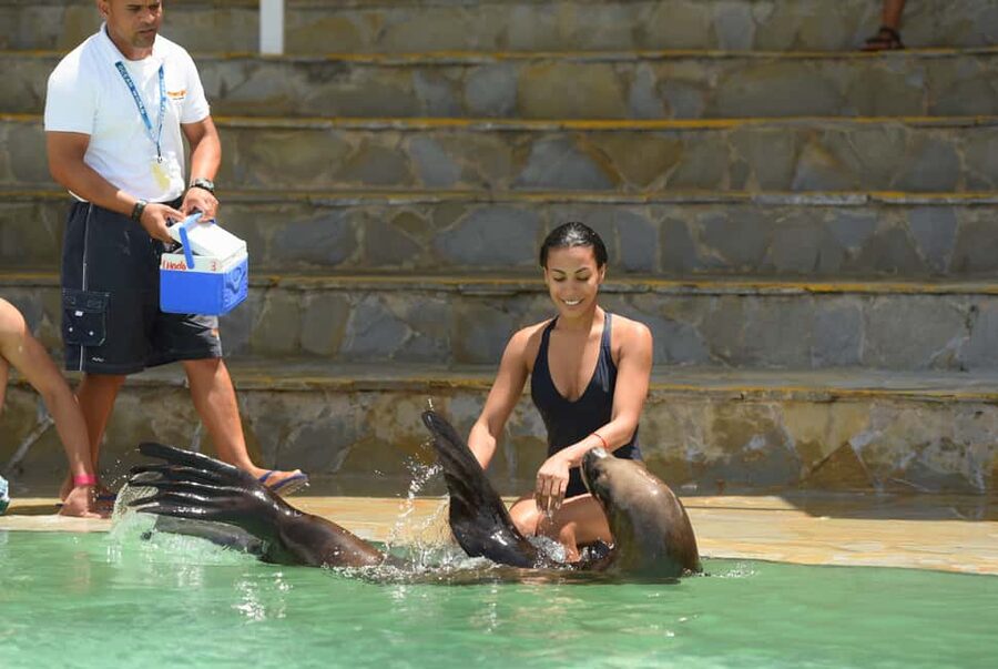 Ocean World Dolphin Swim & Sea Lion Combo from Puerto Plata - Key takeaways before you go