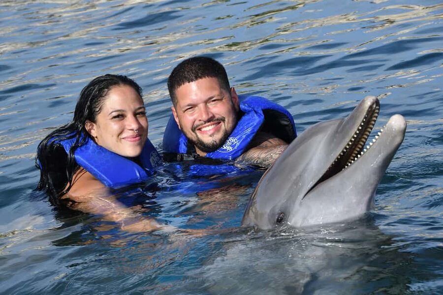 Ocean World Dolphin Swim & Sea Lion Combo from Puerto Plata - Ocean World at Cofresi Beach: what your full day is really like