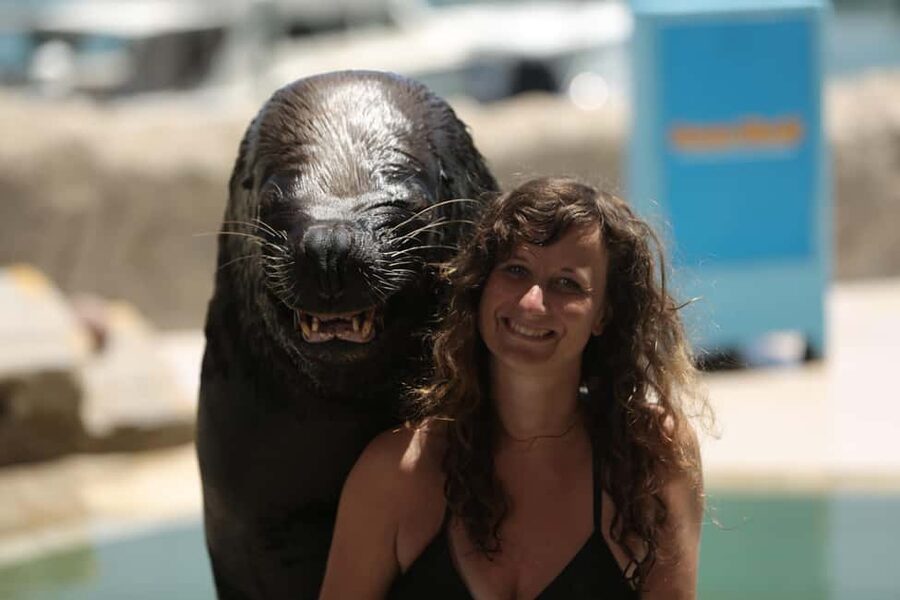 Ocean World Dolphin Swim & Sea Lion Combo from Puerto Plata - Sea lion encounter: 30 minutes with Patagonian sea lions, plus an animal talk