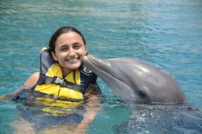 Ocean World Dolphin Swim & Sea Lion Combo from Puerto Plata - The 30-minute dolphin swim: orientation, hand signals, and a face-to-snout start