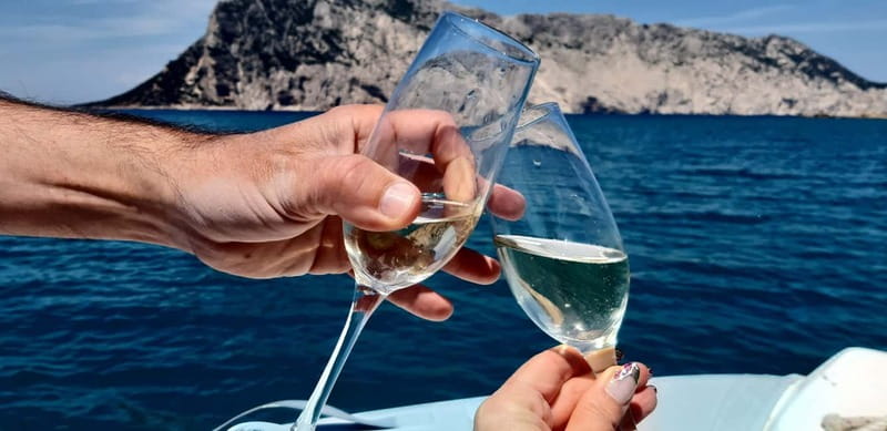 Olbia: Boat tour to watch Dolphins and snorkeling - Key things to know before you go