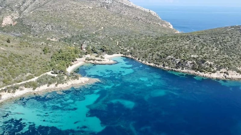 Olbia: Boat tour to watch Dolphins and snorkeling - Cala Moresca snorkeling at Figarolo: turquoise water and fish spotting