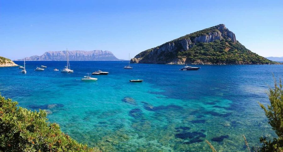 Olbia: Dolphin Watching and Snorkeling Boat Tour - The Guide Experience: Marco and a Respectful Approach