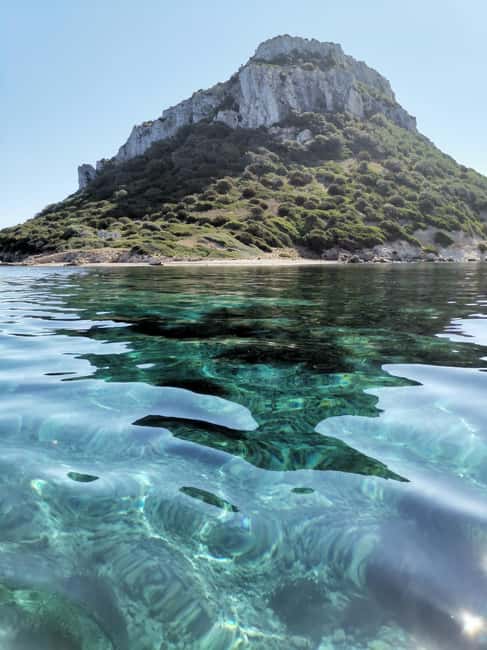 Olbia: Dolphin watching and snorkeling tour on Figarolo Island - The Figarolo stops: how the itinerary flows (and why it works)