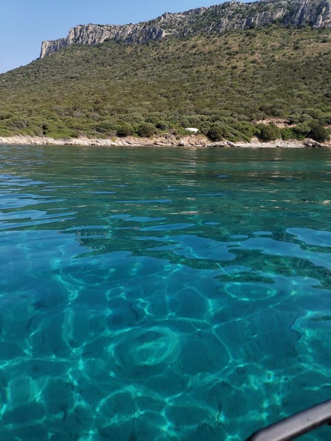Olbia: Dolphin watching and snorkeling tour on Figarolo Island - Snorkeling gear and what you’ll want to bring