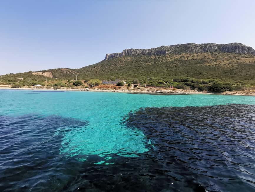 Olbia: Dolphin watching and snorkeling tour on Figarolo Island - Dolphin watching in two phases: fish farm vs open sea