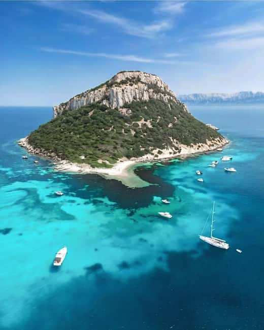Olbia: Dolphin Watching & Snorkeling Boat Tour near Figarolo - Price and value: is $77 fair for a 3.5-hour sea day?