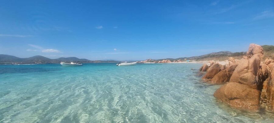 Olbia: Dolphin Watching & Swim and snorkel in Capo Figari - Who This Tour Suits Best (and Who Should Skip It)