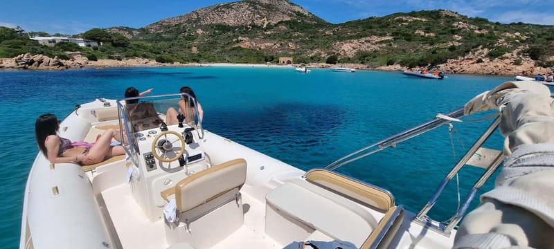Olbia: Dolphin Watching & Swim with prosecco aperitif - The Eco-Boat Ride and Dolphin Odds Near Figarolo