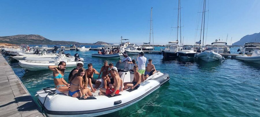 Olbia: Dolphin Watching & Swim with prosecco aperitif - Price and Value: is $71 worth it?