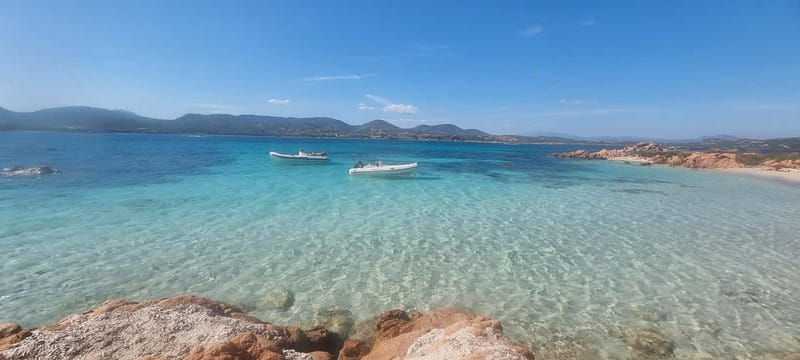 Olbia: Dolphin Watching & Swim with prosecco aperitif - Speedboat Transfer, Photo Stop, and Coastal Views You’ll Remember