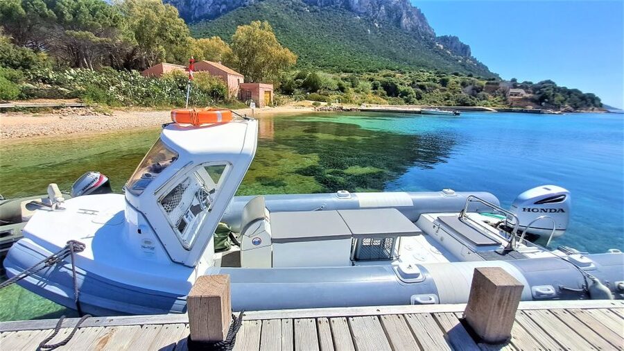 Olbia: Dolphin Watching Tour with Figarolo Island Snorkeling - Who This Tour Fits Best (and Who Should Skip It)