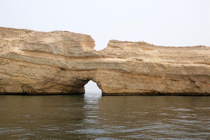 Oman Dolphin Watching Tours - Dolphin Watching From Muscat: Why This 2-Hour Trip Works