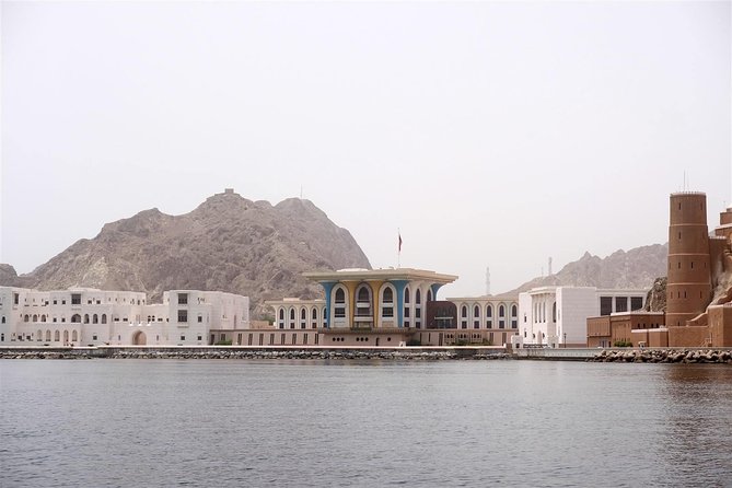 Oman Dolphin Watching Tours - Price and Value: How $52.31 Fits a Private, Wildlife-First Tour