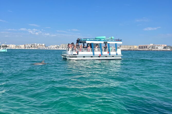 One Hour Harbor Shared Tour with Dolphin Watching - The Onboard Comfort Details That Actually Matter