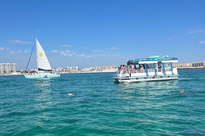 One Hour Harbor Shared Tour with Dolphin Watching - Price and Parking: Simple Math Before You Go
