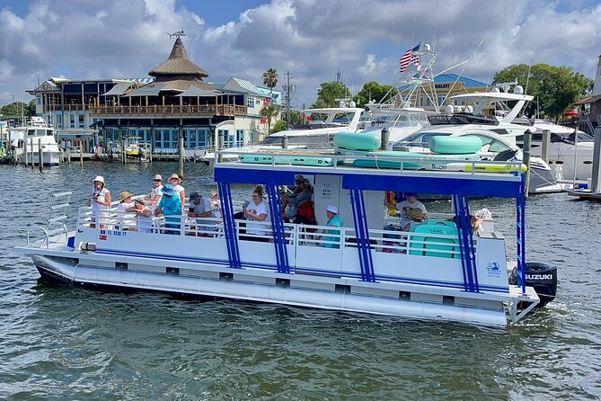 One Hour Harbor Shared Tour with Dolphin Watching - Booking Timing and What It Means for Availability