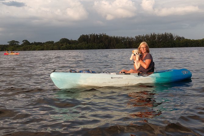One Tandem Kayak Rental for 2 hours with Manatee & Dolphin sightings! - Your 2-hour plan at Manatee Cove Park