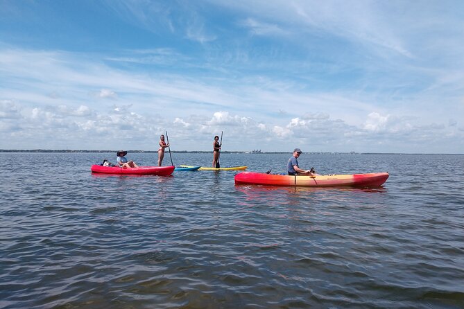 One Tandem Kayak Rental for 2 hours with Manatee & Dolphin sightings! - Wildlife spotting: where manatees and dolphins fit in