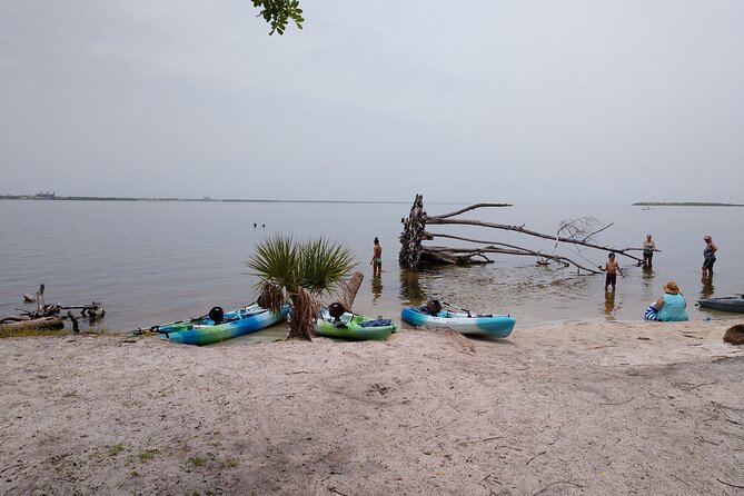 One Tandem Kayak Rental for 2 hours with Manatee & Dolphin sightings! - Who should book this kayak rental?