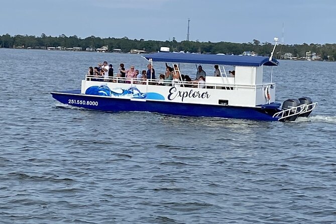 Orange Beach Dolphin Eco Boat Tour - The 90 minutes on the water: what happens during the tour