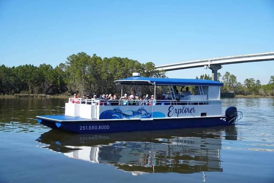 Orange Beach: Dolphin Eco Sunset Cruise aboard The Explorer - Key things that make this cruise worth your time