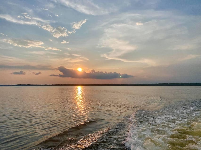 Orange Beach: Dolphin Eco Sunset Cruise aboard The Explorer - Dolphins and why the crew’s approach matters