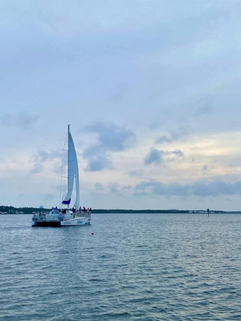 Orange Beach: Dolphin & Sailing Cruise Aboard 52' Catamaran - Why Wolf Bay and the Intracoastal Back Bays are the point