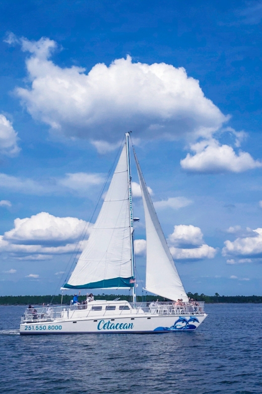 Orange Beach: Dolphin & Sailing Cruise Aboard 52' Catamaran - What you get for $55: value, not just a price tag