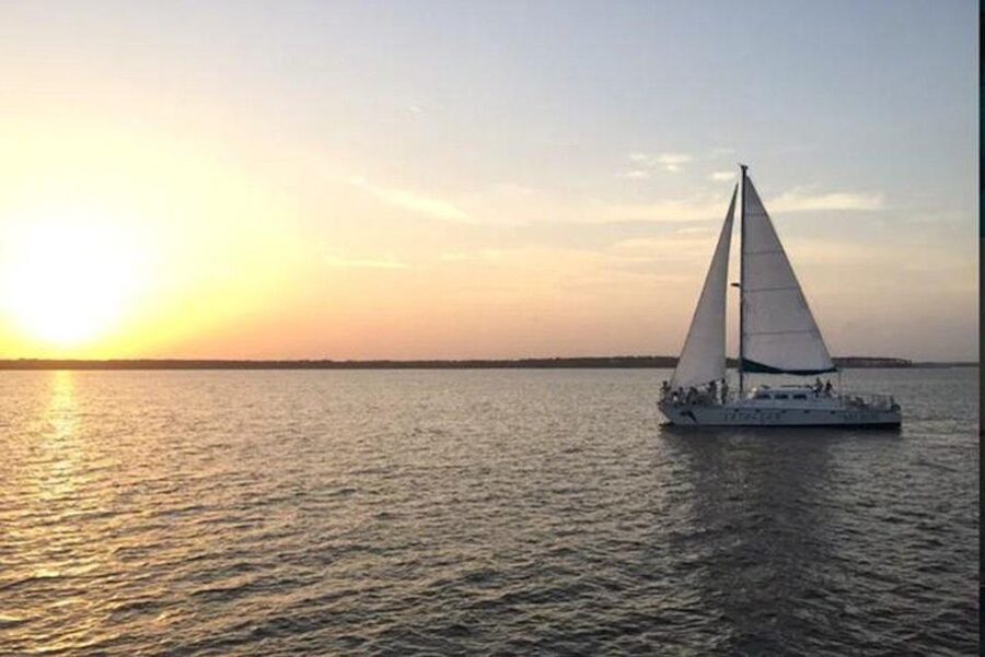 Orange Beach: Dolphin & Sailing Cruise Aboard 52' Catamaran - Meeting at SpringHill Suites and your quick check-in
