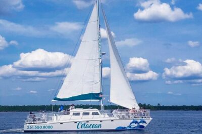 Orange Beach Dolphin Sailing Cruise aboard Catamaran - Two hulls, one relaxed ride: comfort on a 52-foot catamaran