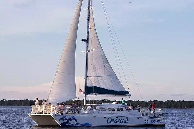 Orange Beach Dolphin Sailing Cruise aboard Catamaran - Drinks, IDs, and the small costs that can change your budget