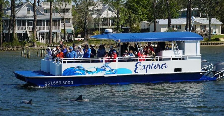 Orange Beach: Dolphin-Watching Eco-Boat Tour - Getting to the Cetacean Cruises check-in without stress