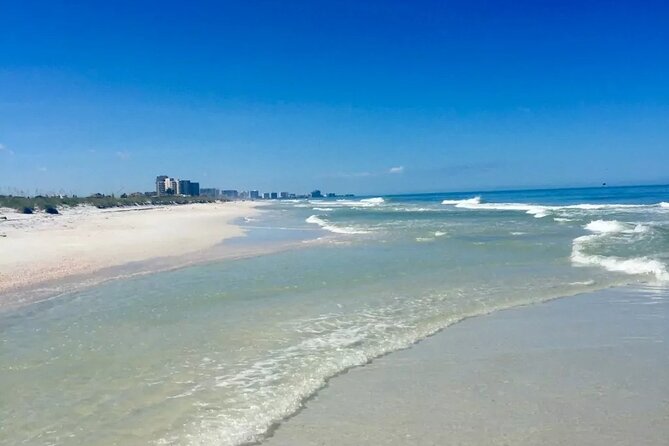 Orlando: Clearwater Beach, Dolphin Cruise Small Group Max 14 Tour - The Gulf coast drive: why the ride matters on a day trip