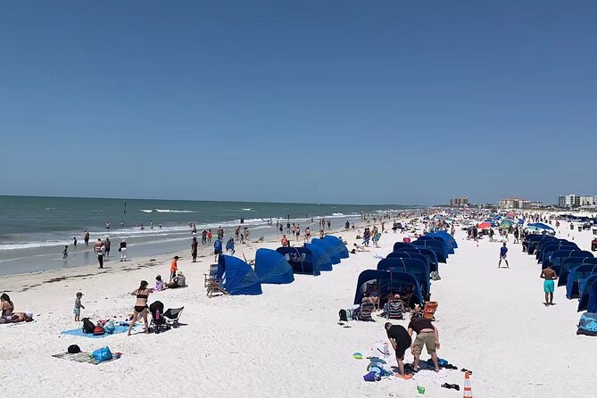 Orlando: Clearwater Beach, Dolphin Cruise Small Group Max 14 Tour - Weather expectations and how flexible to be