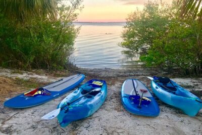Paddle Board or Kayak Eco Dolphin Manatee Tour - Wildlife spotting: manatees first, dolphins as a bonus