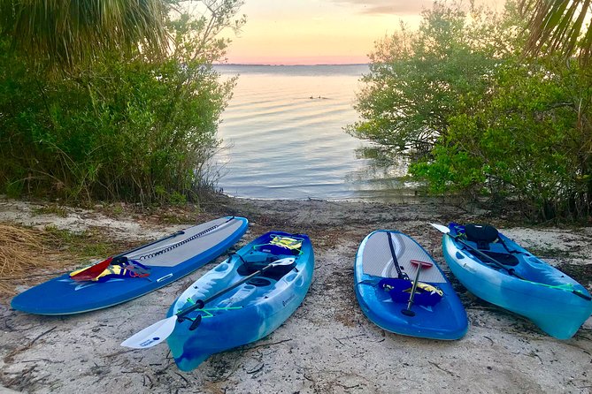 Paddle Board or Kayak Eco Dolphin Manatee Tour - Wildlife spotting: manatees first, dolphins as a bonus