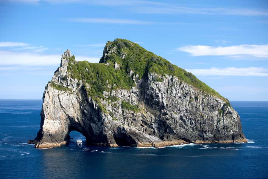 Paihia/Russell: Hole in the Rock, Dolphins & Island Cruise - Otehei Bay on Urupukapuka Island: swim time with real downtime