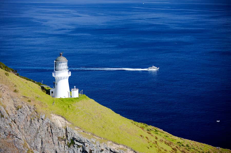 Paihia/Russell: Hole in the Rock, Dolphins & Island Cruise - Who this cruise fits best (and who should think twice)