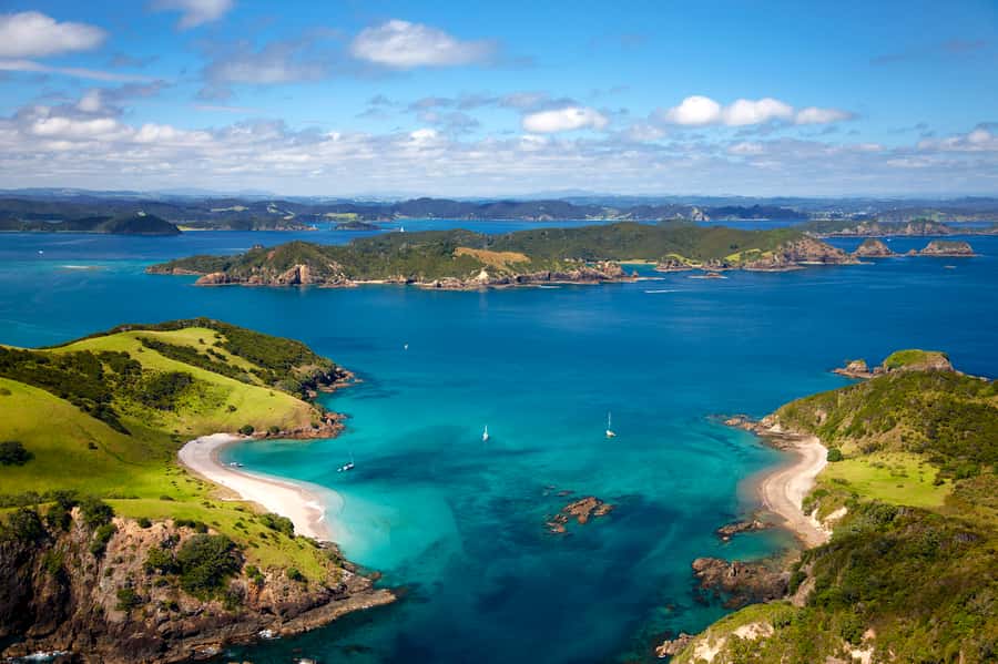 Paihia/Russell: Hole in the Rock, Dolphins & Island Cruise - Quick tips to make your day smoother