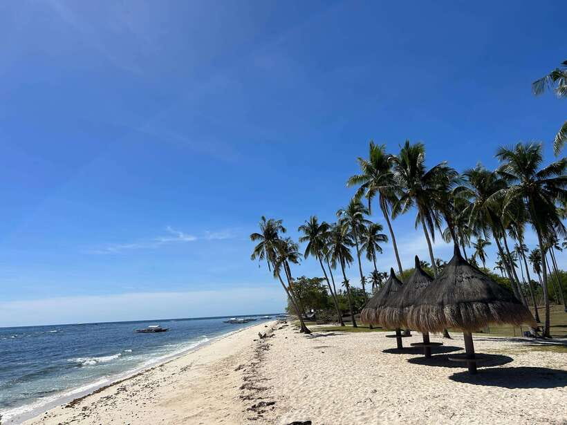 Pamilacan island: Dolphins, snorkel, lunch and walking tour - A calm, private start from Panglao (with real transportation time)
