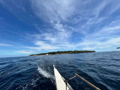 Pamilacan island: Dolphins, snorkel, lunch and walking tour - Dolphins first: the morning wildlife rhythm on the Bohol Sea