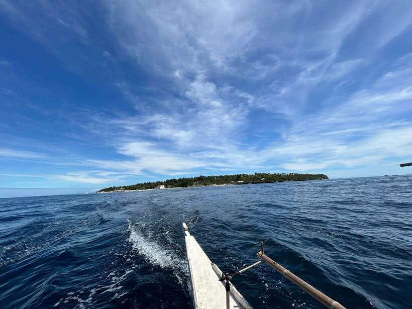 Pamilacan island: Dolphins, snorkel, lunch and walking tour - Dolphins first: the morning wildlife rhythm on the Bohol Sea