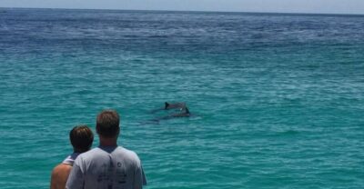 Panama City Beach: Dolphin Sightseeing Sail on the Footloose - Getting to Bluegreen’s Bayside Resort: the simple timing that prevents stress