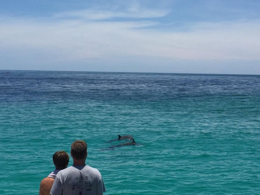 Panama City Beach: Dolphin Sightseeing Sail on the Footloose - Dolphin watching in the real Gulf: what to expect from the crew and the coastline